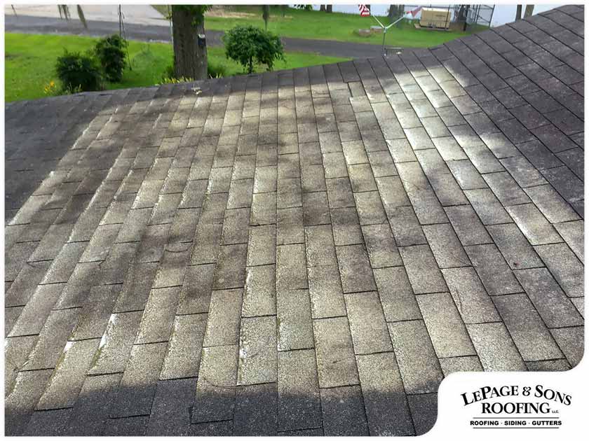 LePage and Sons Roofing LLC