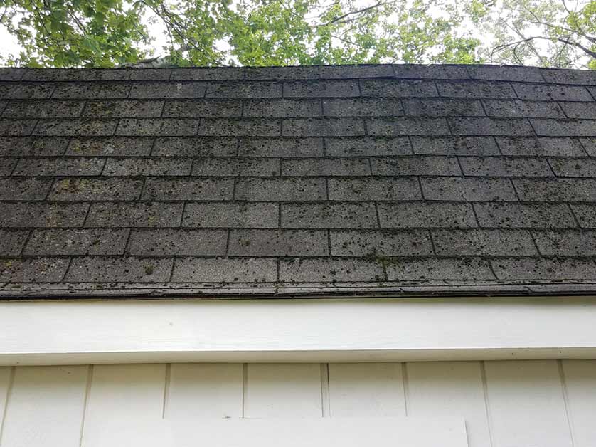 LePage and Sons Roofing LLC