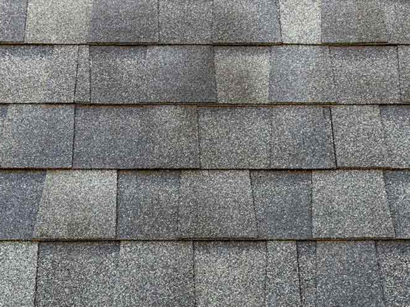 LePage and Sons Roofing LLC